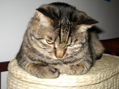 涓滀含澶у鐢宠鏉′欢,涓滀含澶у鐣欏鐢宠鏉′欢