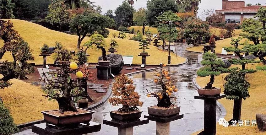 走进韩国思索之苑，这里算得上世界最美的庭园吗