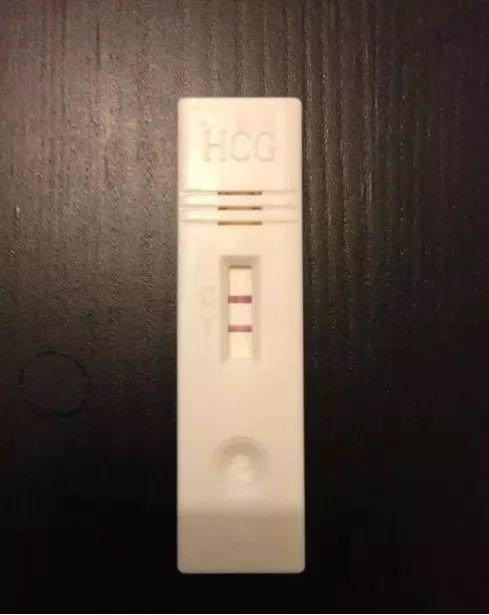 饲养猫狗可以治疗不孕不育，这个知识点你需要了解