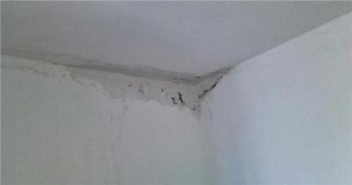 房屋漏水怎样处理最好视频教程,房屋漏水有什么方法处理