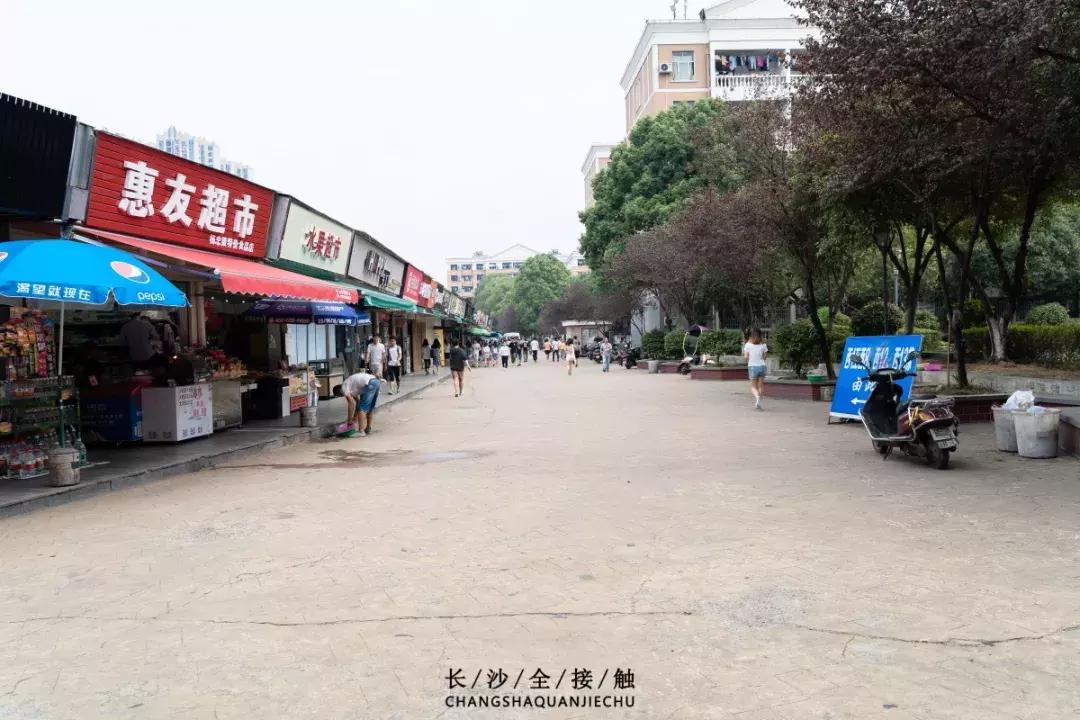 长沙最青春公交，串联6所大学的记忆