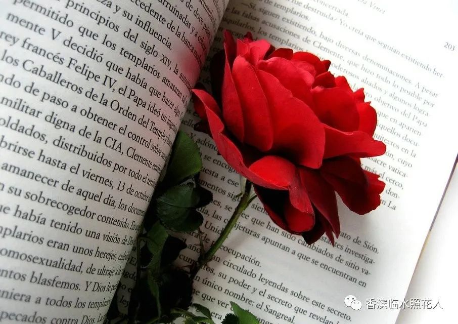 创新作文大赛第十四届获奖名单,2016创意作文大赛