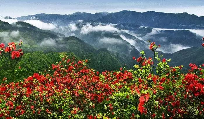 中国天然氧吧景区,我省4地获中国天然氧吧称号