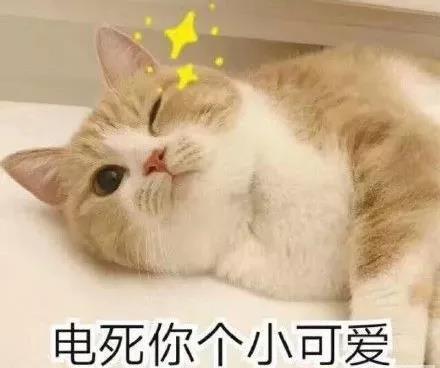 巩俐裸色口红亮相戛纳,巩俐白裙自带气场