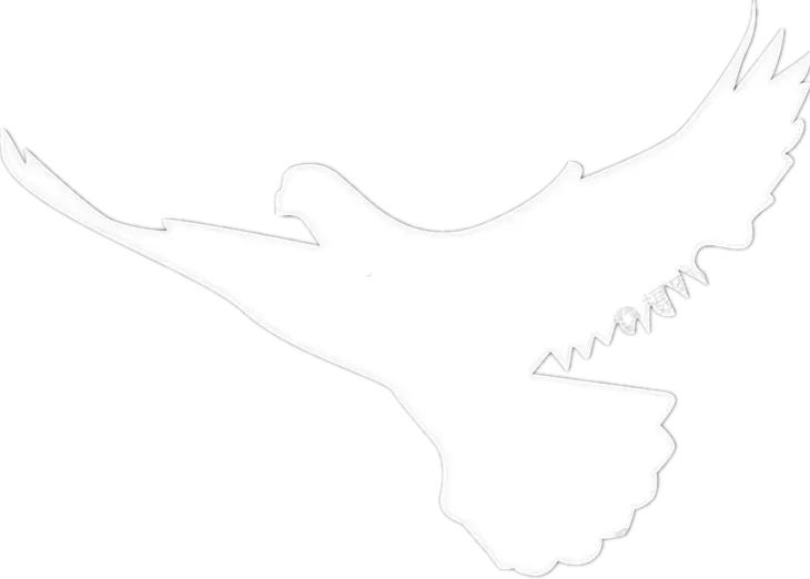 五星红旗我为你自豪原唱歌手,五星红旗我为你自豪升旗献词