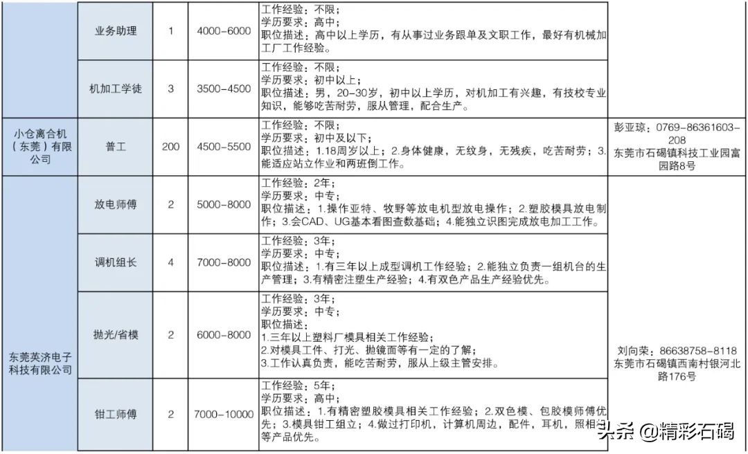 东莞石碣镇招聘编外人员15名,2020石碣政府招聘人员