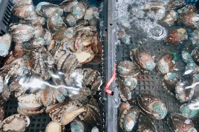 西安凌晨才营业的批发市场,西安哪里批发市场最便宜