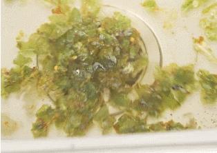 过年卫生清洁必备神器,家庭清洁必备神器来啦