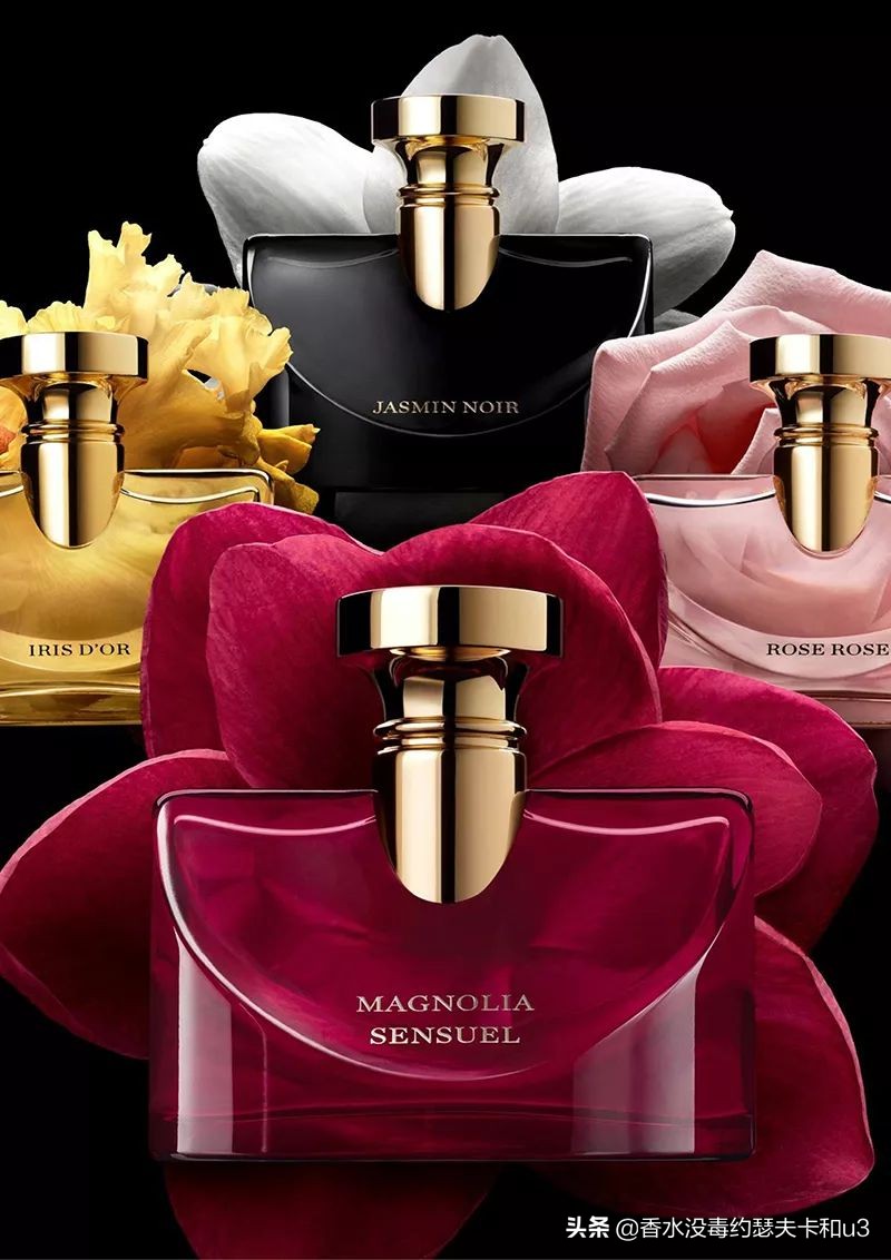 宝格丽香水都有哪些款,宝格丽香水哪一款最受欢迎