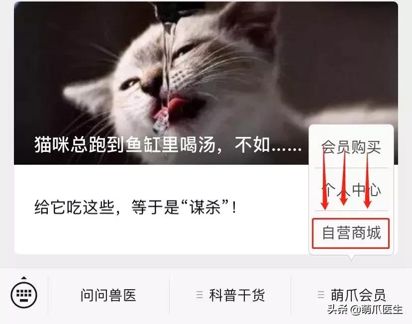 足不出户线上看诊,24小时猫病在线咨询
