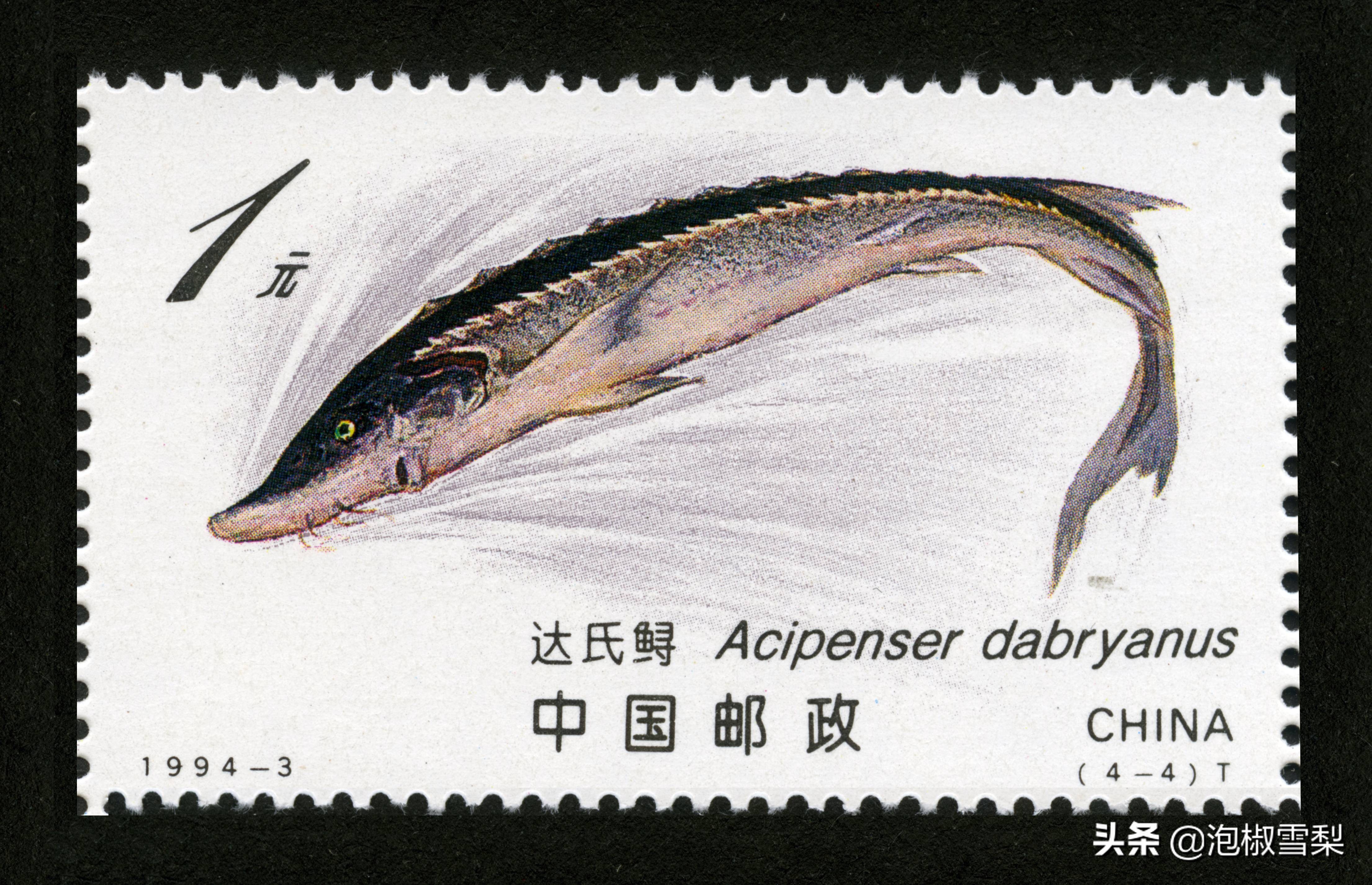 1994昭君出塞邮票,1994年黄埔军校邮票多少钱一张