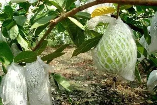 小城姑娘微信卖水果，月收轻松过万忙得不亦乐乎