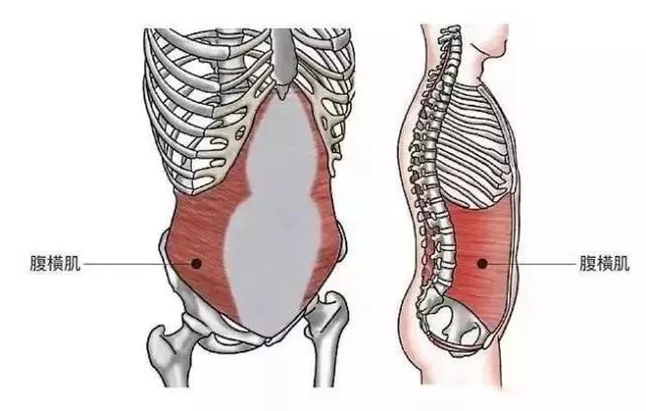 每天15分钟，一个月快速瘦腰/缩胯/清晰腰线「跟练视频版」