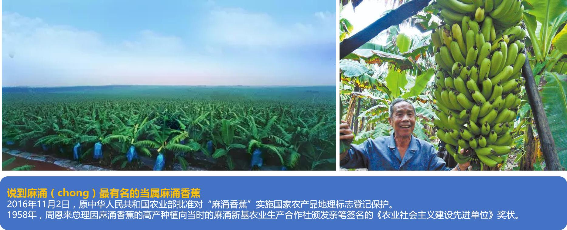 东莞麻涌大湾区,东莞麻涌田园生活