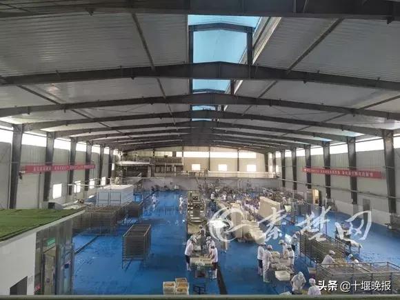 十堰第三季度项目拉练会,十堰市第一季度第二批38个项目