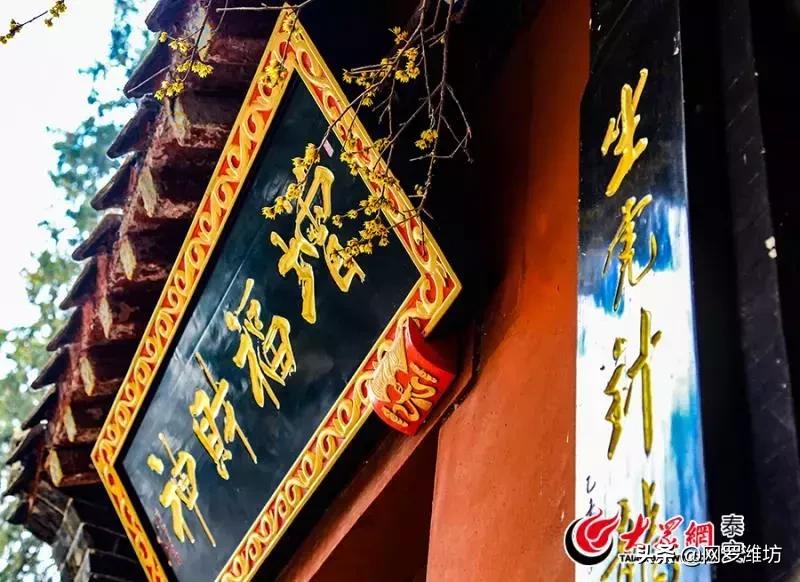 泰山风景区门票优惠到什么时候,泰山景区门票优惠政策介绍