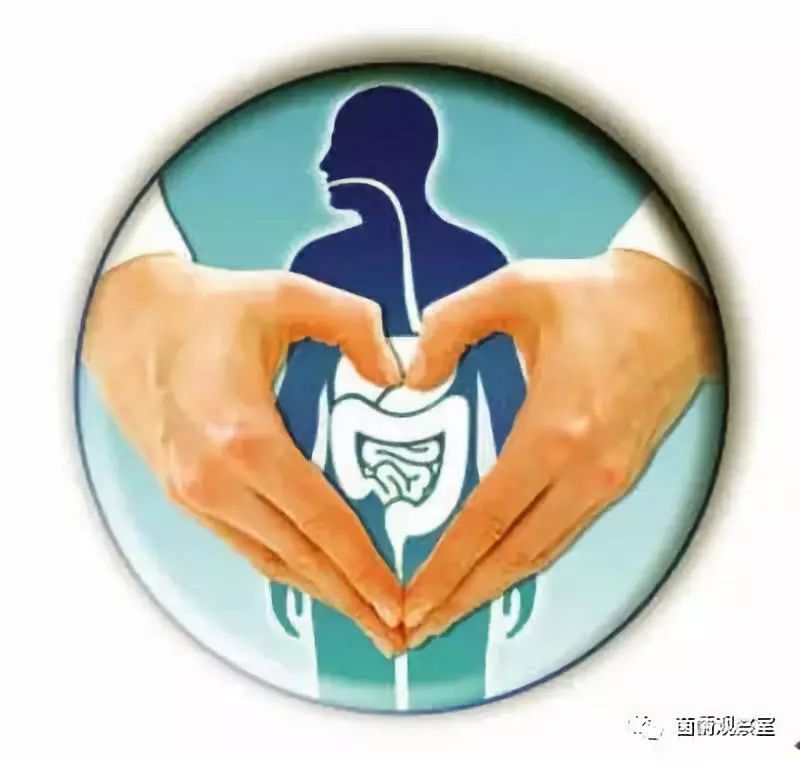 消化系统的健康保护,消化系统免疫系统还有啥