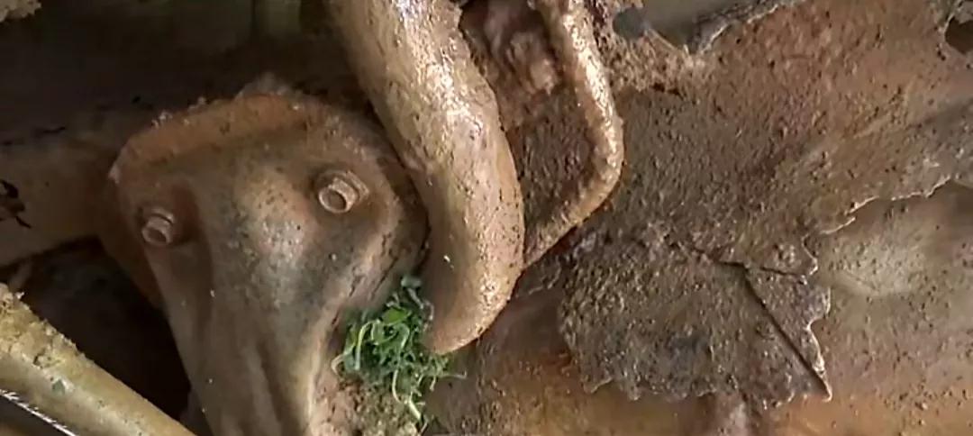 喀麦隆玩命出租车，一辆车坐17人，中国自行车也在非洲遍地开花