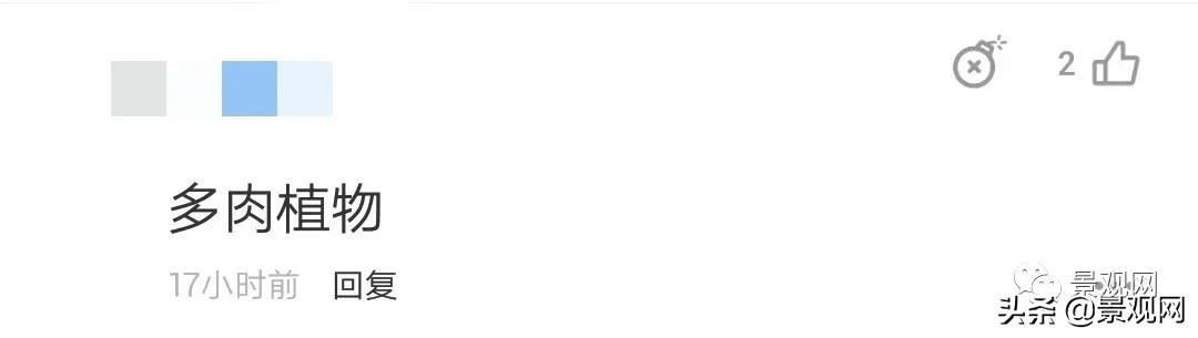 广州恒大足球场老板图片,广州恒大足球场承建单位