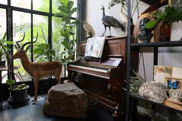 极光之旅民宿推荐,可以看极光的民宿