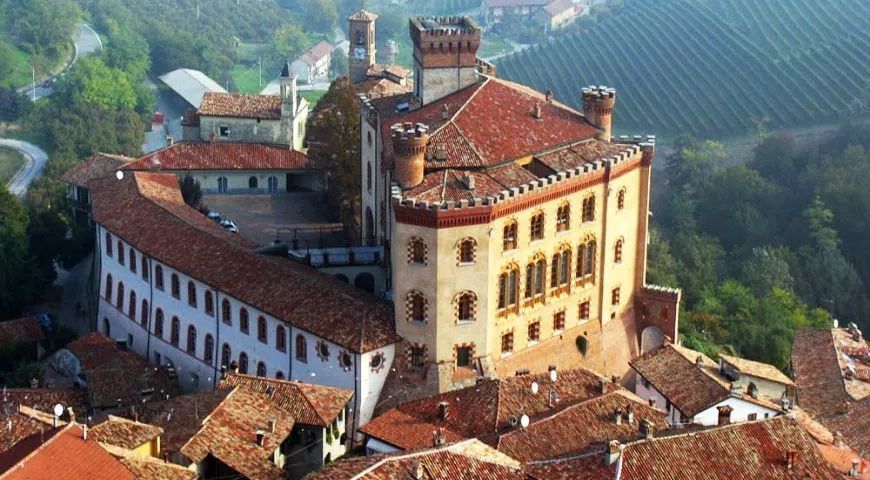 波尔多葡萄酒博物馆特点,了解葡萄酒用什么软件