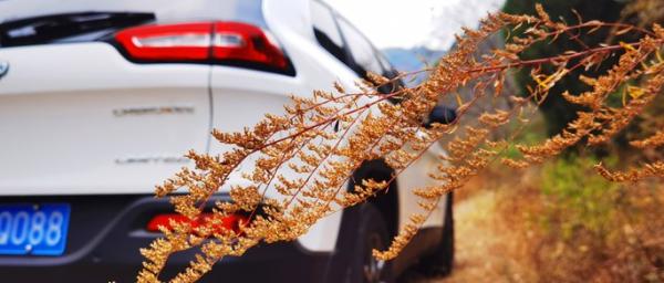 自由光全系车型,自由光2.0l驾驶感受