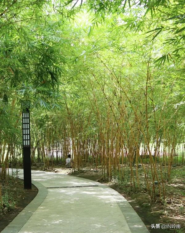 水滴花园，水下森林，这个小岛上的水可太美了