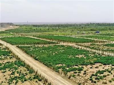 《内蒙古日报》点赞伊金霍洛旗​这张名片