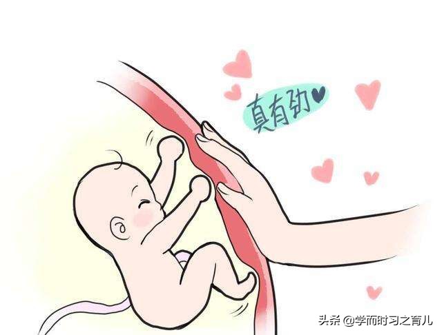 孕期要警惕4种异常胎动,孕妇胎动频繁要注意哪些