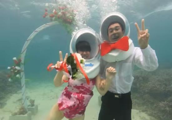 小沈阳和沈春阳爱情故事,小沈阳沈春阳爱情混剪