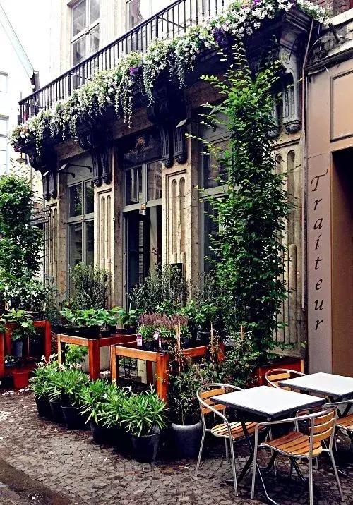 开一个花店指南,如果你也想开一家花店书籍