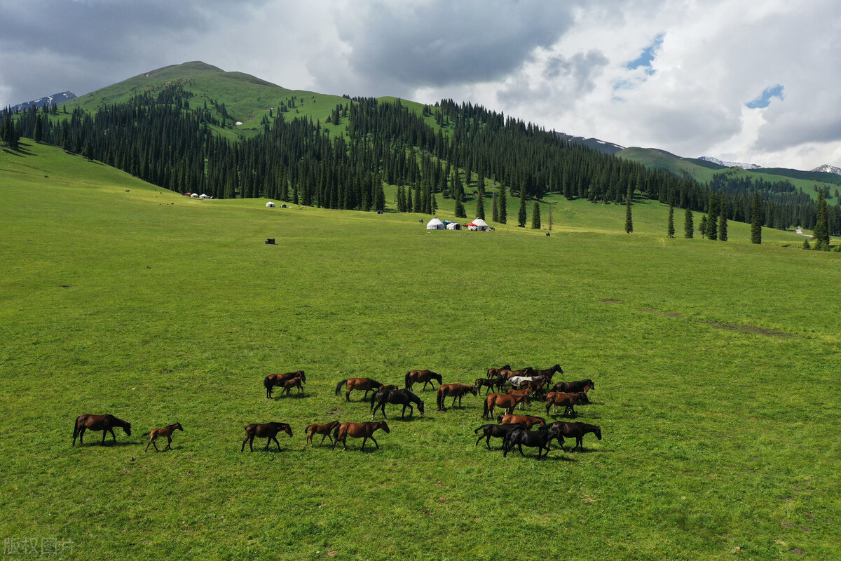 独库公路网红攻略,独库公路环线自驾游攻略