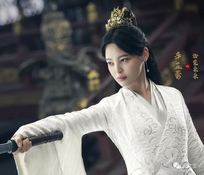 庆余年里面的演员名单,庆余年里面的高达