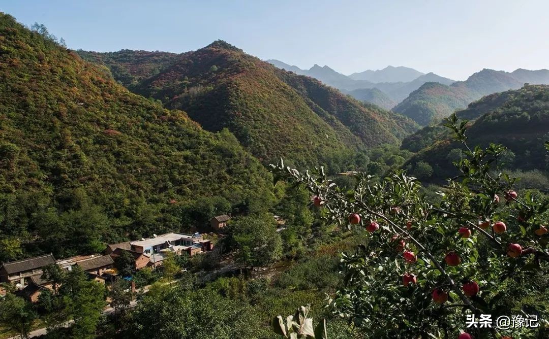 灵宝是三门峡的下辖市吗,灵宝为什么是三门峡最金贵的市