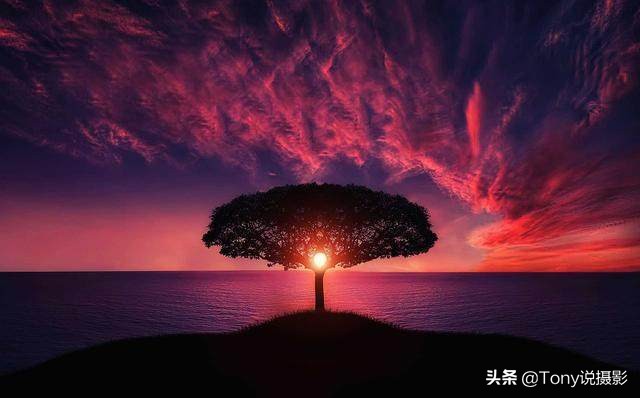 摄影入门的7大诀窍,摄影基础知识入门构图20种