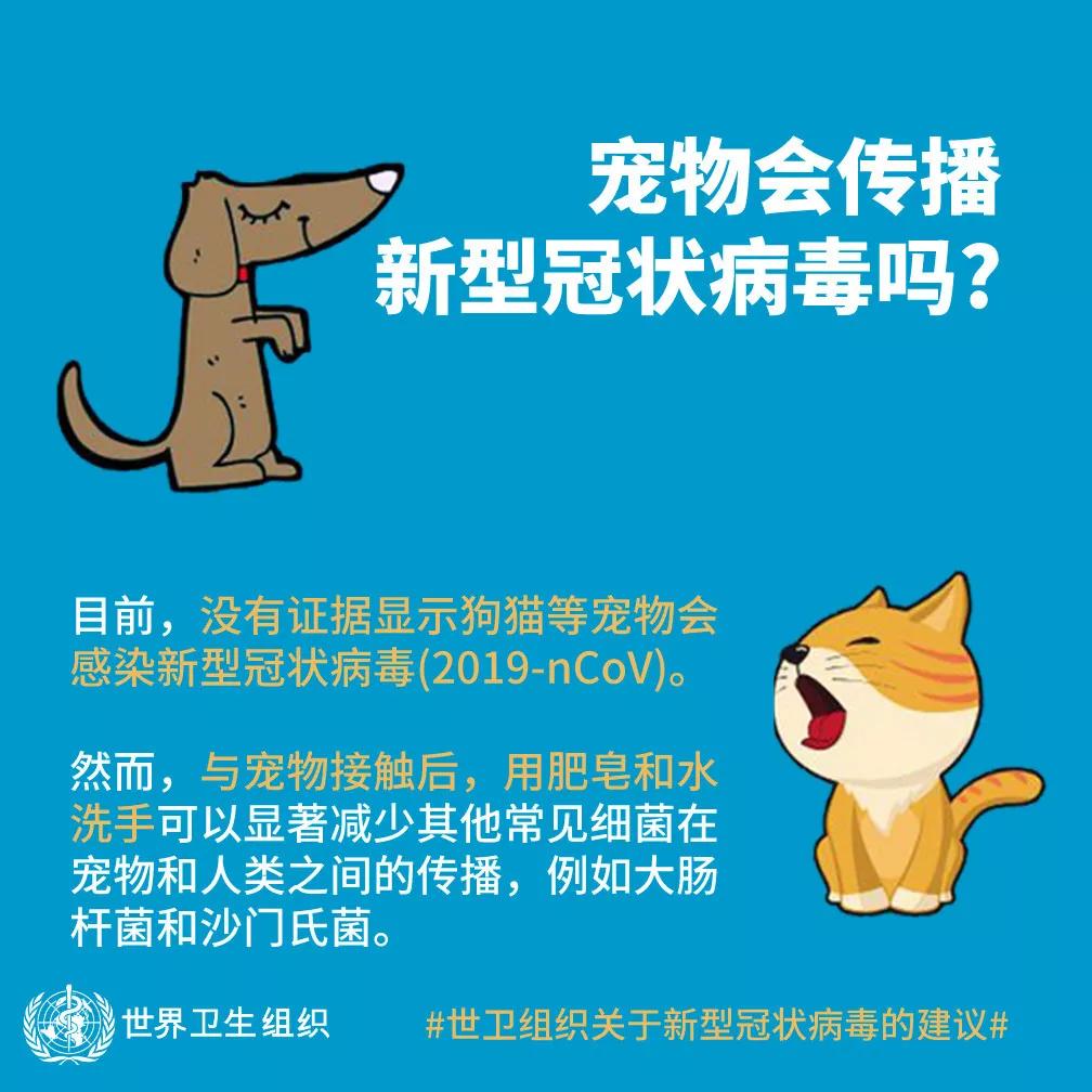 疫情当前，宠物还能养吗？答案在这里