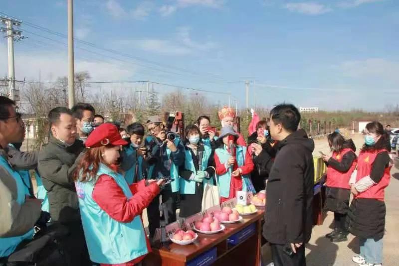 陕西白水苹果哪里最好,陕西白水苹果专卖店