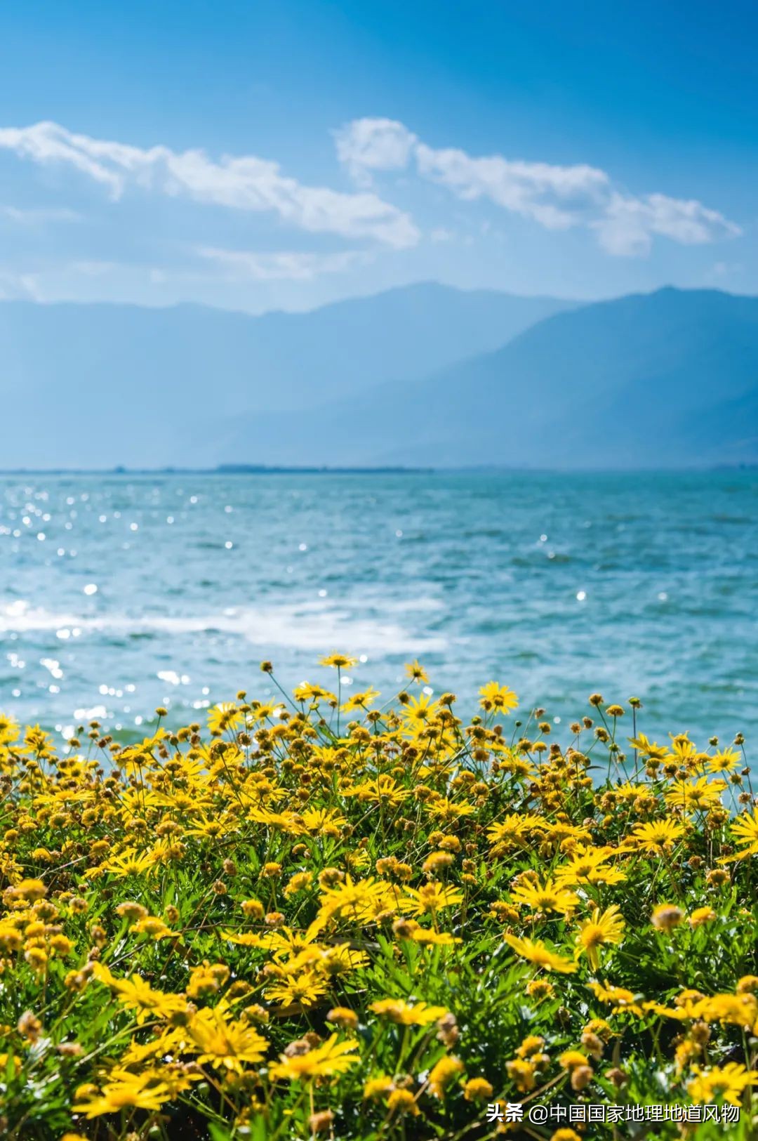 云南有个地方比大理丽江更出名,昆明风景为什么没有大理和丽江好