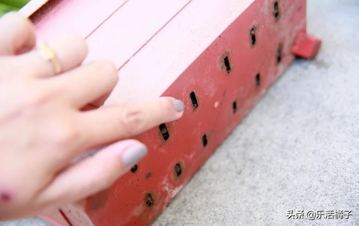 植物浇水浇的次数太多会怎样,植物浇水太多怎么补救