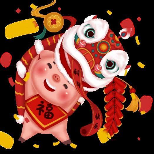 从丁亥到己亥—武昌水果湖中学六六届高三（1）班同学聚会本命年