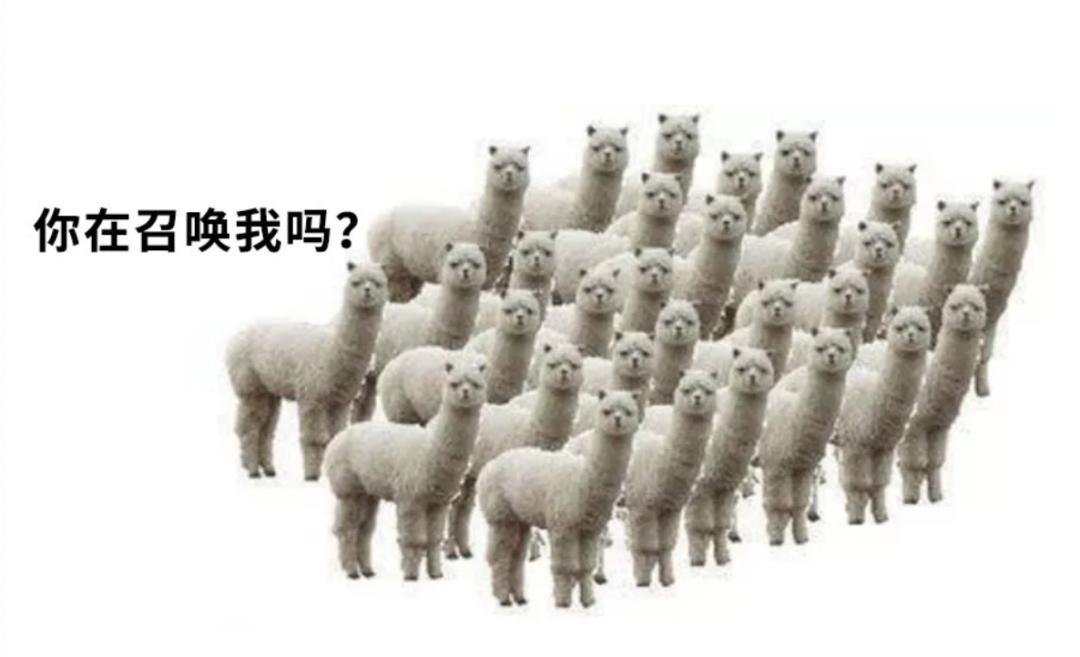 怎么和国外的人领结婚证,如何在国外领结婚证