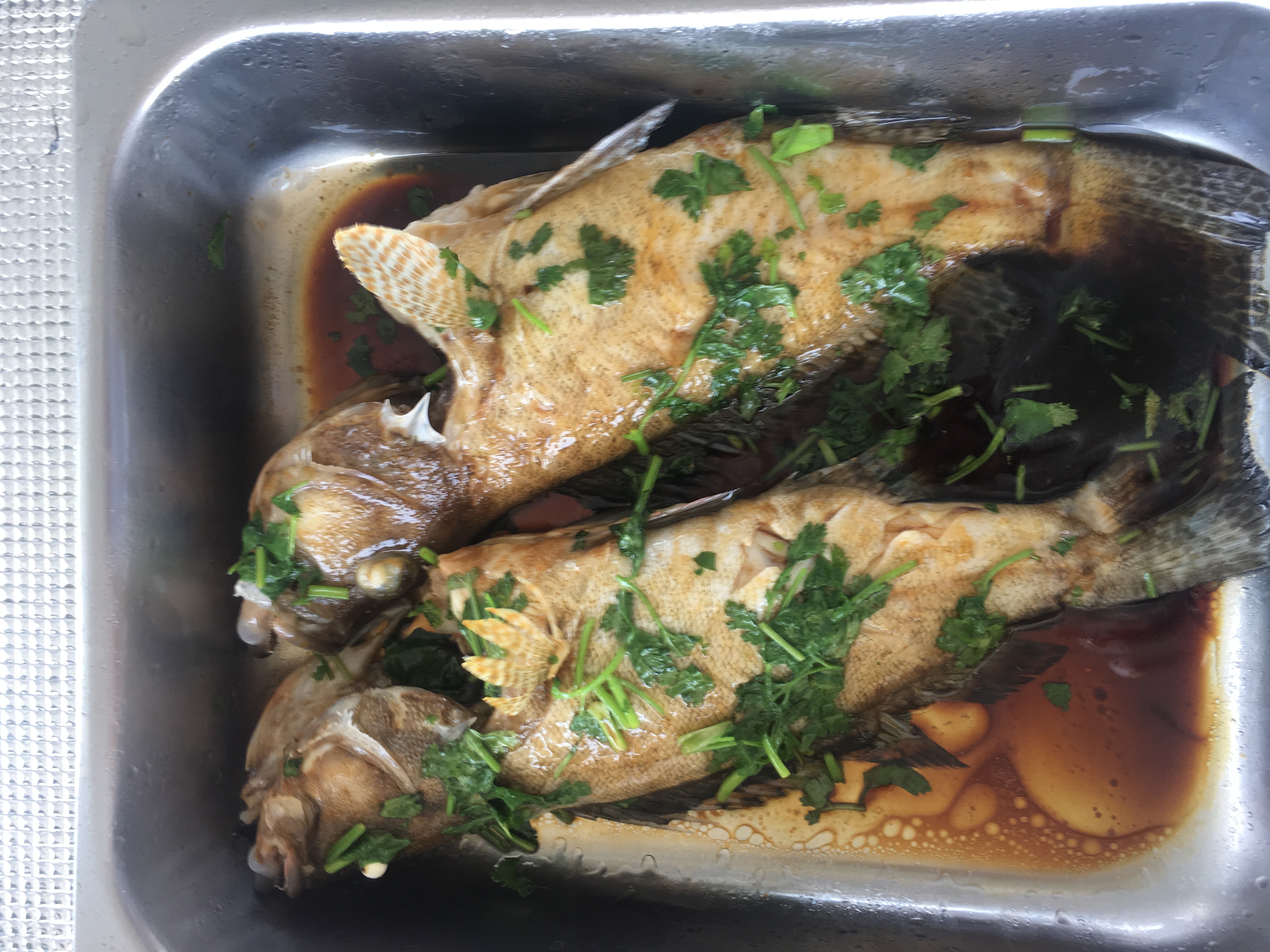 玩转沙巴海钓攻略,沙巴近海海钓