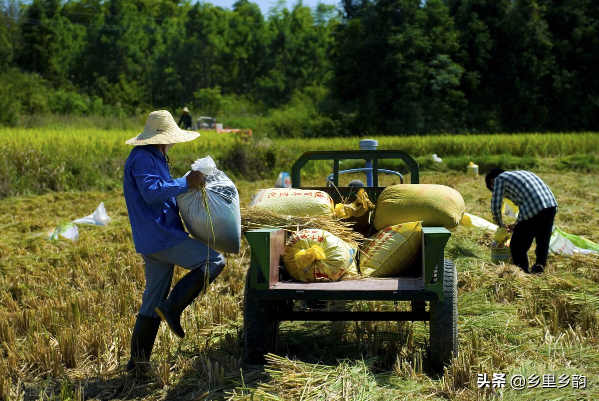 想卖好肥料需要了解什么,农资店一般都需要哪些必备肥料