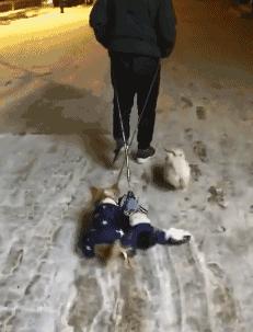 搞笑的冷笑话最好能笑死,非常搞笑的冷笑话大全