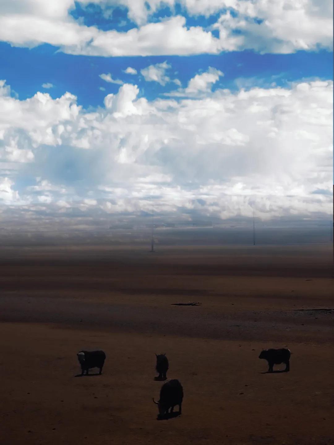 旅行怎么拍出高级感视频,旅行如何拍出高级的风景视频