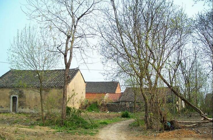 现在在农村里干的什么能赚点钱,现在农村种地之余做什么副业好