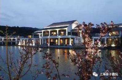 假期给大家送个福利,假期超强福利分享礼包