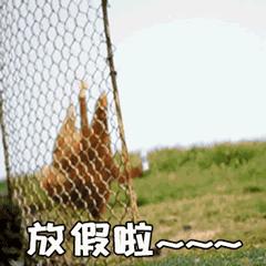 教师实用网站推荐,对教师帮助最大的5个网站