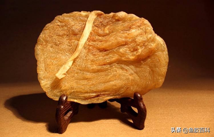 鱼胶真的有那么多胶原蛋白吗,鱼胶揭秘