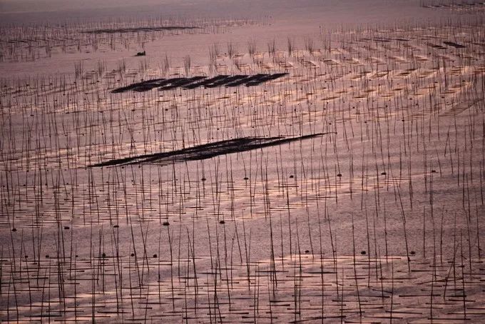 霞是光，浦是海：光与海的对话，吟唱出最美的滩涂